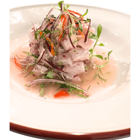 Ceviche de Corvina